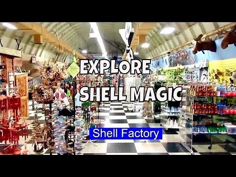 Remembering the Shell Factory & Nature Park: A Nostalgic Look Back