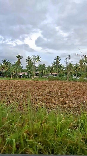 Tuyom Carcar atong una gi hatdan sa atong mga hi breeds sa dominant cz nga manok,, DAGHANG SALAMAT SIR ❤️ Ug happy farming | H3J Happy Backyard FARM