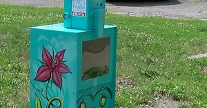 Newspaper boxes find new life as food pantries