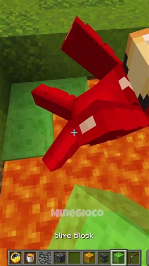 Time Stop Minecraft 🤔