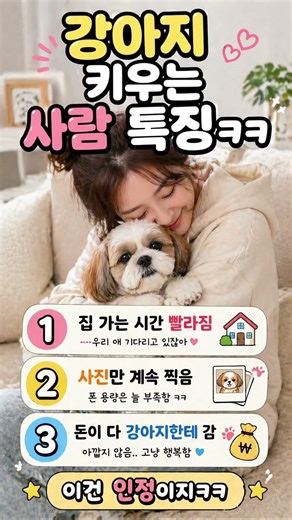 강아지 키우는 사람 특징! #강아지 #견주일상 #특징 #원보리 #시츄 #shihtzu