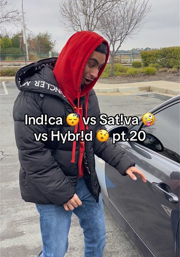 Understanding Indica vs Sativa vs Hybrid Cannabis