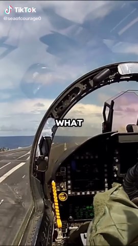 What If a Virus Gets Into a Fighter Jet's Computer? #fyp #foryoupage #navy #airforce #army