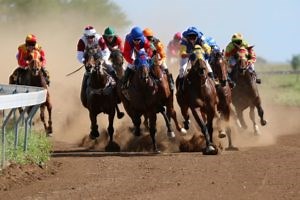 The Total Betting Club Review