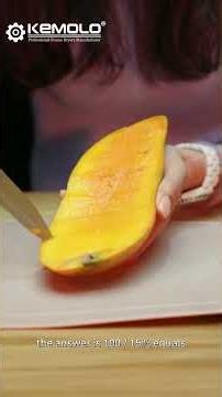 What Size Freeze Dryer Do I Need for a Fruit Factory?