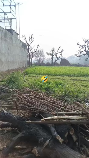 Today’s Funniest Moments Compilation