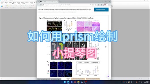 如何用prism绘制小提琴图