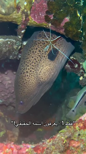 ‏#exp #jed #jeddah #riadh #makka