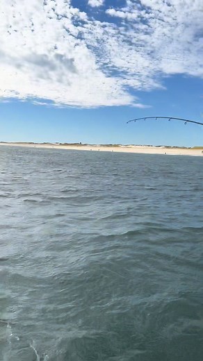 13K views · 156 reactions | Picture this scene. An entire ocean is...