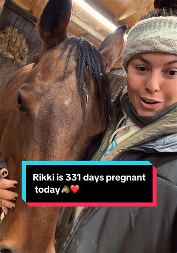 Rikki's Pregnancy Update: 331 Days and Counting!