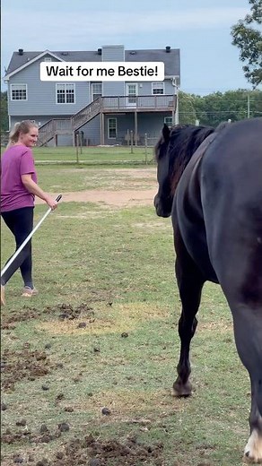 Just a girl and her horse, bonded for life. #americandreamfarm #horsegirl #horselove