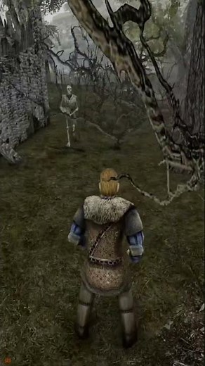 Gothic 2 Kroniki Myrtany Archolos Szkielet wojownik