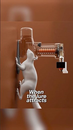 Squirrel Trap With Strike Counter