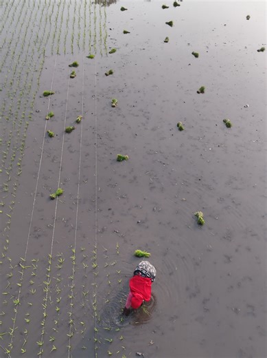 Drone Vs Village Man Angry Attact Gone Wrong❌😁 #comedy #prankvideo #prank #instagaram #funny