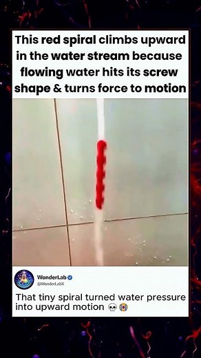 This Spiral Climbs Up Water Using Physics!!