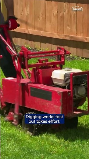 How & Why to Remove Grass & Start Over