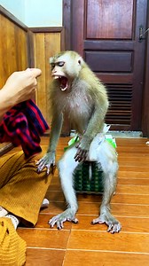 52K views · 932 reactions | Sleepy Jaila Yawn Xcessively After Sacrrfice Time Waitinq Mom Choose Her Old Fashion | The Judy Family | Facebook