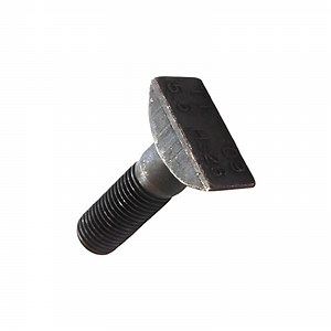 [Hot Item] Customized Dimension Rail Fastener T Type Track Bolt