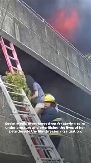 A woman in the Philippines is being hailed as a hero after calmly rescuing two dogs from a burning building in Mandaue City, Cebu province. A viral video shows the woman standing on a balcony engulfed in smoke as she carefully tosses the dogs to safety below, ensuring they are out of danger before attempting to escape herself. Moments later, she climbs over the railing and steps onto a ladder held by firefighters, making a safe descent. According to reports, the woman has been identified as Ei M