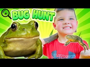 Caleb’s BIGGEST BUG HUNT EVER!!!