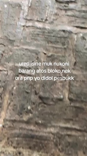 Experience Spek 12 at Pati Carnaval 2023