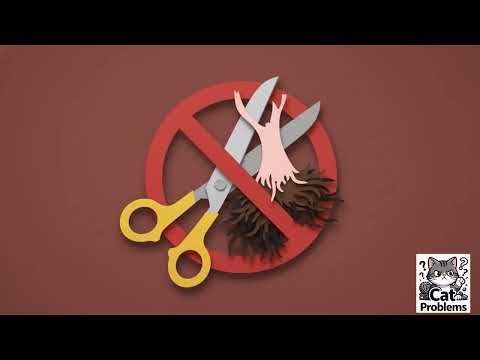 Cat GROOMING Nightmare? Mats + Nails FIXED Easy! 🐱✂️ | Cat Care Coach