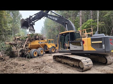 Working On The Driveway