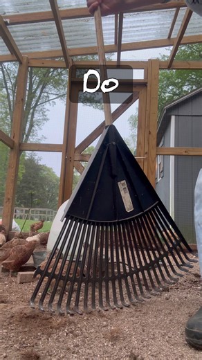 Do Quail Stink? Discover the Surprising Truth!