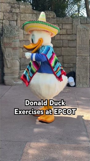 Disney Donald Duck at EPCOT Mexico Pavilion 🎂 #disney #disneyworld #disneycharacters #disneyparks