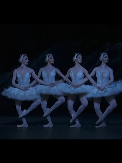 Swan Lake: Dance of the Cygnets Performance