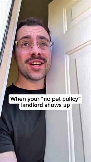 Dan 🐢 on Instagram: "This is awkward 😅 🐢 🐢 #turtle #turtles #wildlife #animals"