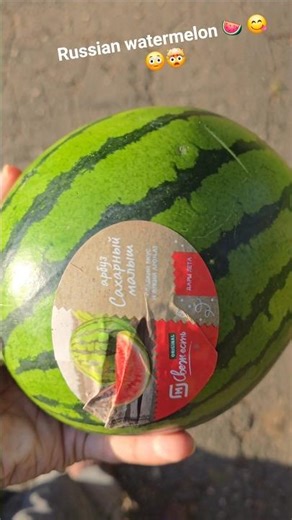 Russian Watermelon #shorts #watermelon #russia