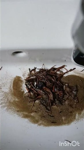 Tag 2 von Projekt Flasche 2