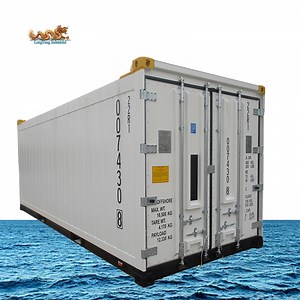 [Hot Item] Dnv 2.7-1 Standard Chiller and Freezer 20FT Offshore Reefer Container with Tk Refrigerated Units