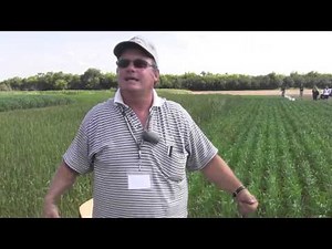 Understanding Soil Structure and Proper Sampling Techniques