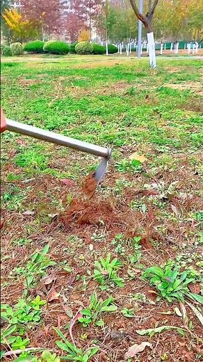 Loosening compacted soil and removing weeds using a hoe in a green park area for cultivation