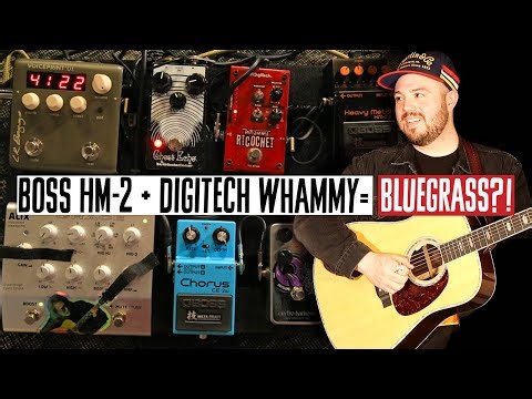 Boss HM-2 + Whammy = Bluegrass?! Trey Hensley's Acoustic Pedalboard