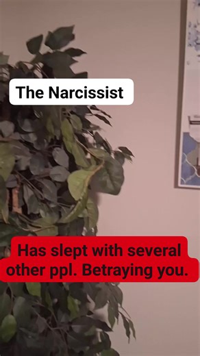 6.8K reactions · 1.2K shares | They have to sleep with 50 others to even be satisfied and its just one Lil you that satisfy them and they know it. Unless they have other tendencies or secrets your unaware of which most of em do. #narcissisticabuseawareness #personalitydisorders #chosenones #ChosenOne #ChosenbyGod | Chosen Favored | Facebook
