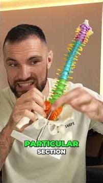 Back Pain Relief: Simple Strategies to Target Injured Tissues #shorts