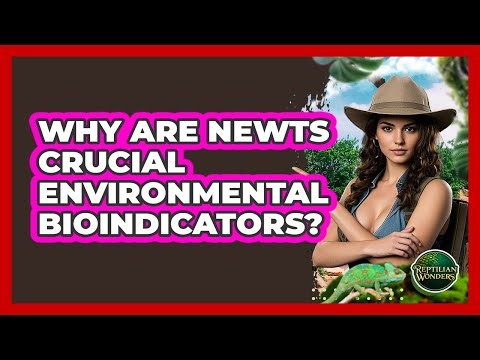 Why Are Newts Crucial Environmental Bioindicators? - Reptilian Wonders