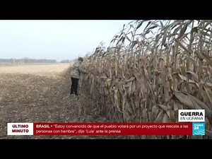 Granjeros ucranianos ven en peligro próximas consechas por suspensión de exportaciones