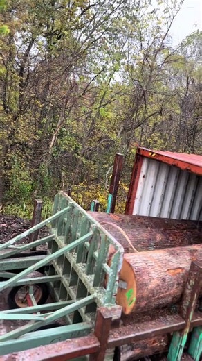 Exploring Indiana's Log Export Industry