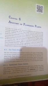 ANaTOMTY of F Lowering PlantsYou can very easily see the stru... | Filo