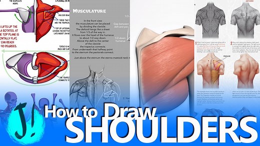 Top Tutorials for Drawing Shoulders