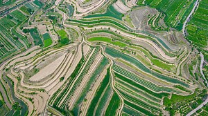 Spring farming underway across China