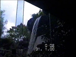Family Videos 1988-1989