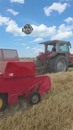 Massey Ferguson Oldtimer💯🚜