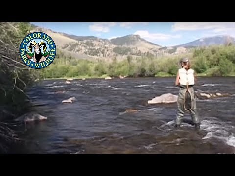Fly Fishing Colorado - Winter