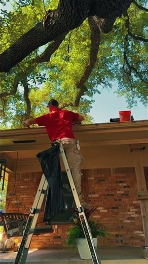 Gutter Repair, Cleaning & Maintenance | Mr. Handyman