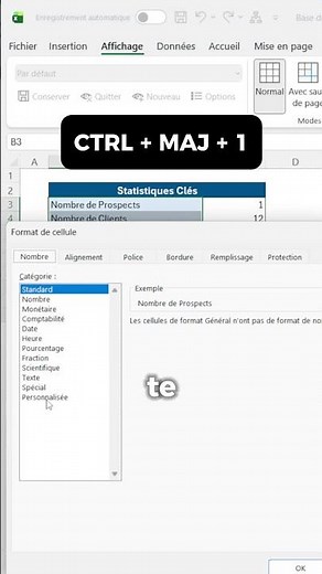 How to customize the display of Excel cells WITHOUT formulas?